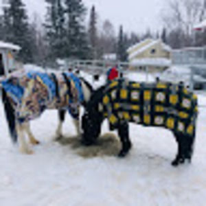 Meet your Posher, Izzie